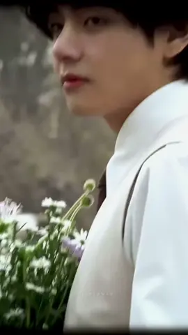 The Prince of My Heart 🤍 #princetaehyung #taehyung #kimtaehyung #btsdisney #aesthetic #koreandrama #kpopidol #explorepage 