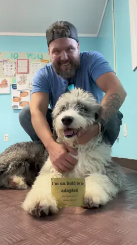 Oreo has been adopted!! #fyp #foryou #dogvideo #shelterdog #rescuedog #adoption #wooster #woosterohio 