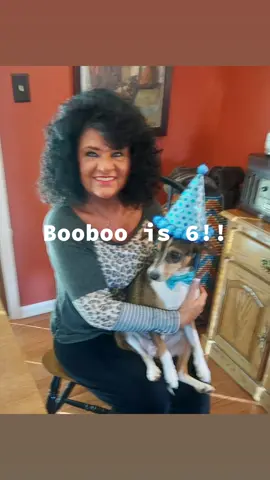 Booboo is 6! He is my rescue dog but he really rescued me!#bestdogever❤️  #mybestie
