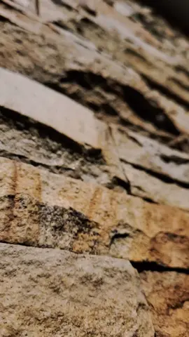 Membicarakan sesuatu yang paling tidak mengenakkan, namun juga sesuatu yang paling pasti dialami semua makhluk #muasabah  #diri  #mengingat  #mati  #amal  #sholeh  #bekal  #allah  #february  #2023  #CapCut 