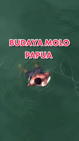 Salh satu cara tradisional menangkap ikan di Danau sentani Papua, MOLO. #papua #papuatiktok #ABCKreasiKrezi #fyp #papuaviral #papuahits #papuaindonesia #kabupatenjayapura #explorepapua #wisatapapua #spearfishing #molo 