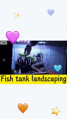 Nature forest is my favorite aquarium landscaping #aquarium #fishtank #landscape #diycrafts #homemade #pet #petlife #aquariumhobby #naturalbeauty #fyp
