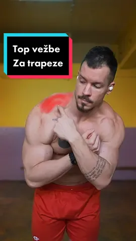 Šragovi dodju najlošija vežba za njih, ubacite redovno neku od ovih alternativa. #fyp #srki #GymTok #bodybuilding #trapsworkout #teretana 