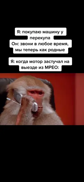 #шутка #юмор #перекупы 