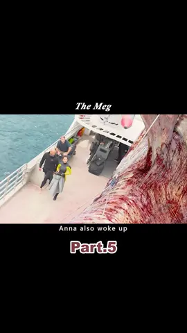 Megalodon can swallow an adult Tyrannosaurus Rex in one bite#film #movie
