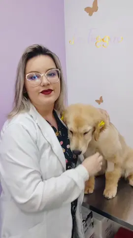 Somos da Le Fussin  Cuidando do amor mais puro que existe  #cachorro #amor #muitofofo #muitoamor #cachorros #portoalegre 