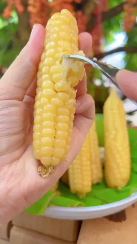 New varieties were planted successfully. 🌾🍚hybrid corn #corn #stickyrice #food #delicious #fyp 