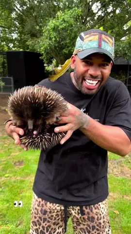 Have y’all ever seen one? 👀 @therealtarzann #Worldstar #Fyp #animals 