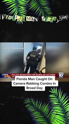 #floridaman #florida #NextLevelDish 