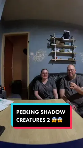 More peeking shadow figures / creatures have been poking their evil heads around the stairs doorway today, fairly consistently. So we set up the camera to catch them and I asked Kay’s to grab the camera and swing it up the stairs to show that there is usually nothing there. #haunted #shadow #creepy #spirit #poltergeist #ghost #paranormal #foryou #fyp #fypシ #entity #demon #demonic #scary #viral #disappear #figure #creature #shadowfigure #shadowcreature #shadowentity 