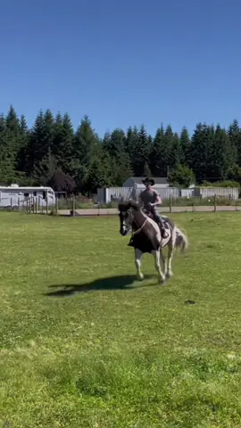 #CapCut @mr.wiredup you rock, my friend. “You saved them”, “ma’am, they saved me”. #countryboy #horsesoftiktok #unclecopper #horsetherapy 