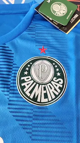 Frete Grátis 🇧🇷 - Palmeiras Goleiro 22/23 🔥 #tailandesa #futebol #futebolbrasileiro #camisadetime #camisasdetime #camisasdefutebol #futebolfeminino 