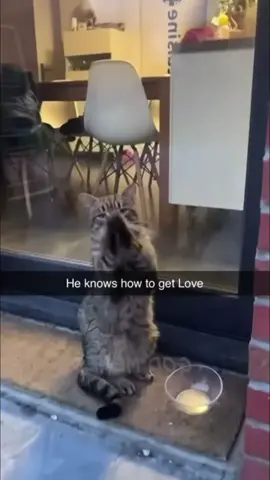 #funnyvideos #joke #memes 