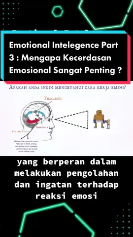 Emotional Intelegence Part 3 : Mengapa Kecerdasan Emosional Sangat Penting ? #motivasihidup #motivasisukses #ABCKreasiKrezi #kenalidirimu #Motivasi 