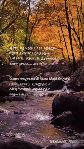 That feeling of love 💖✨ 🕊️#requestedvideo #shabirsulthan #nareshiyer #ritathyagarajan #firstlove #tamil #yaayumyaayum  #kollywood #tamilsongs #tamilcinema #tamillyrics #fyp #ValentinesDay 