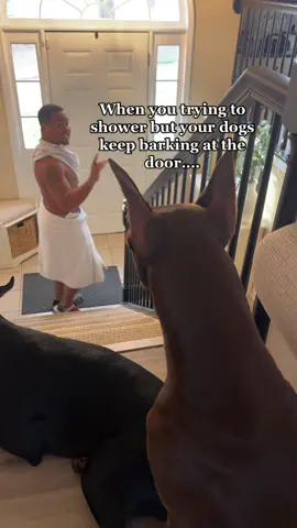 It’s funny because it’s true… #fyp#suavexavier#viral 