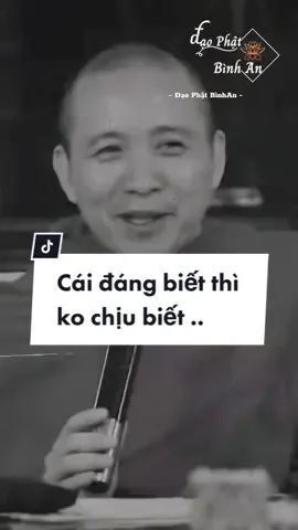 Chúng ta trên đời có ba cái ngu ? #xuhuong #thichchanhdinh #phatphap #cuocsong #2023 #tiktok 