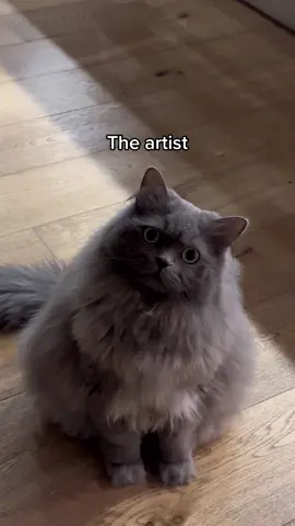 The art vs artist  #cat #pet #funnyvideos #uk #billyboy #billyboycat #catsoftiktok #cattok #billy 