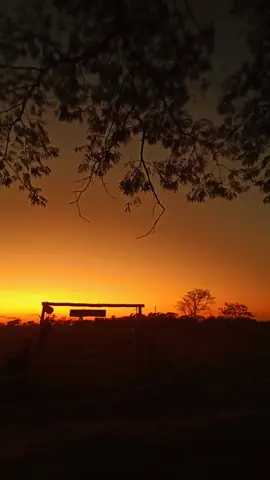 amanecer llanero - Pore casanare 🇧🇫🇧🇫🐴🐴🤠🤠 #pore #porecasanare #casanare #casanarecolombia #casanareturistico #casanare #corozopando #amanecerllanero #llano #llanosorientales #llanos #millano #llanoscolombianos #paisajellanero #llanero #llaneros #losllanos #llanosvenezolanos #waltersilva #waltersilva🤠 #trabajodellano #amanecer #amaneceres #amanecercolombiano #viral #sunset #fly #foryou #parati #arauca #vichada #metacolombia #sunrise 
