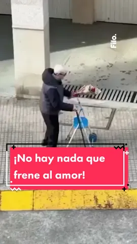 💘 ¡En #SanValentín no hay nada que frene al amor! 🥺 📲 En las últimas horas se viralizó este video de un señor mayor caminando con su andador y un BUEN ramo de flores en la mano 💐 ✨ ¡El amor es esa MAGIA que puede contra todo! Dale play al video y mirá esta gran imagen que dio la vuelta al mundo 🎬 💭 ¿Por quién harías una cosa así? ¡Etiquetá a esa persona en los comentarios! 👇 📼 Video: Postureoespanol (Instagram) #SanValentín #DíaDeLosEnamorados #Cupido #Amor #Viral #FiloNews 