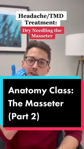 Watch me stick a needle in my face! #physicaltherapy #physicaltherapist #physicaltherapytiktok #physicaltherapystudent #dentist #masseter #facialpain #physicaltherapyhumor #TMJ #tmjtreatment #headachetreatment #dryneedling #dryneedlingtherapy #dryneedlingtherapist #dryneedlingthejaw 