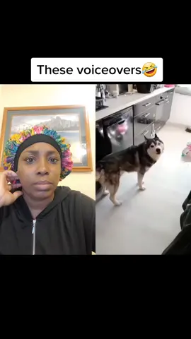#duet with @laughoutloud707 #animalswithpersonalities #soocute🥰🤗😍 #butfarealfareal #ohnowayyyy #dammitmanyne #thewayihollered🤣 #letthelaughscontinue #toodangaccurate #surewasntready 