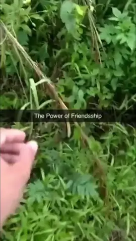 #funnyvideos #foryou #memes 