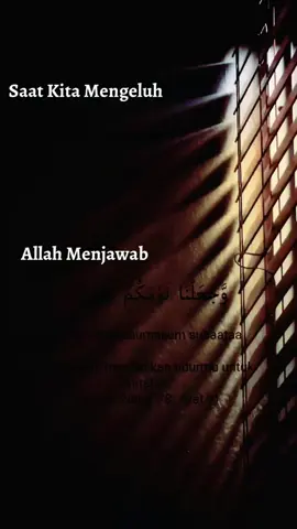 #allohuakbar #allohumasolialasayidinamuhammad 