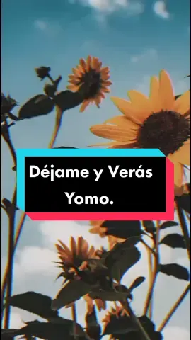 Déjame y Verás - Yomo..| #CapCut  #foryou #parati #lyrics #edit #rolitas #viral #song #music #fyp #viral #emotional 