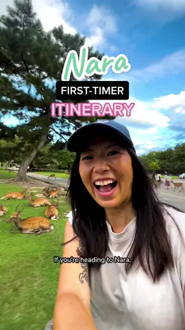 Who’s going to Nara on their Japan trip? 🦌 #japantravel #thisisjapan #nara #visitjapan 