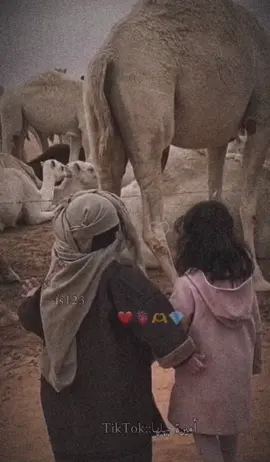 عايش معيشة زاهية وشريفة.... كثير عزوتي ماني قليل الوالي 💙🖇#تصميمي_رايكم🥀🎬 #fypシ゚viral🖤tiktok☆♡myvideos                                                                       