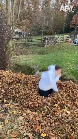 She doesn't just leaf, she full on left 🍂🍁 #funny #leaves #funnyvideos #lol #afv
