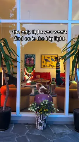 Soft lighting only in this house 🥰 #Home #interior #lighting #furniture #interiordesign #biglight 