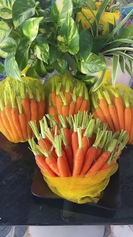 🥕🥕CÀ RỐT BABY HỮU CƠ 🥕🥕 💁shop có 20kg mời cả nhà ủng hộ nha  💰1kg  90k /1b y hình  💰500g 55k   ✨✨ăn sống siêu ngon  👉 Gọi em nó là #càrốtbaby vì em nó chỉ to hơn ngón tay cái chút xíu thôi ạ.  Nhưng em nó ăn luôn được cả vỏ, nấu cháo cho bé ăn dặm thì ngon, ngọt không chê vào đâu được!!! ✅CÀ rốt baby được trồng ngắn vụ hữu cơ  sử dụng cho bé an toàn và cả nhà mình dùng ăn sống rất ngọt giòn ạ. 🥕Nguồn dinh dưỡng của cà rốt baby: Tốt cho mắt, Ngăn ngừa bệnh tim mạch, Tăng cường miễn dịch, Có lợi cho răng miệng, Đẹp da, Tốt cho mẹ bầu, Bổ sung canxi, Phòng chống ung thư,