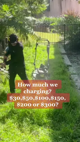How much would you pay @Ed Sheeran ? #fyp #entrepreneur #SmallBusiness #lawncare #lawnmower #clean #cleanup #tidy #satisfy #edsheeran #tiktok #nathanslawnsandgardens 