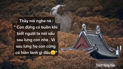 Có qua có lại thôi mà , làm gì đâu mà giận làm gì 😂 #vọngvân #thángnămtĩnhlặngkiếpnàybìnhyên #bmz #xuhuong 