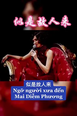 #baihathaynhat # 梅艳芳 #Anitamui 