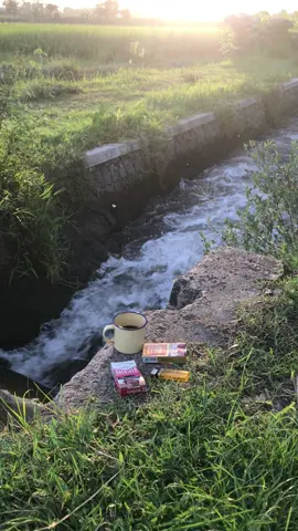 Ngesok bolo☕️#kopipagi #fyp 