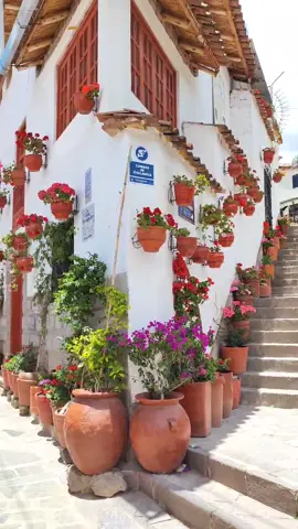 YA CONOCES ESTA CALLE?? #cusco #machupicchu #cusco_peru🇵🇪 #plazadearmascusco #parati #callesieteborreguitos #sieteborreguitos #cusco_peru #machupicchuperu #parati #travelcusco #travel 
