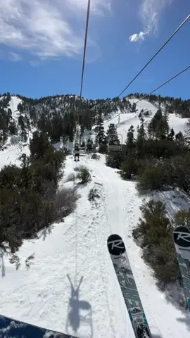 Where my fellow snow bunnies at?! 