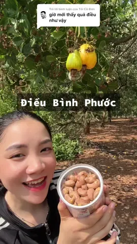 Trả lời @Tôi Cô Đơn Quả điều thì bỏ hạt điều thì dùng nha ❤️#hatdieu #hạtđiều #hạtđiềurangcủi #hatdieurangmuoi #shopmero #ancungtiktok #xuhuong 