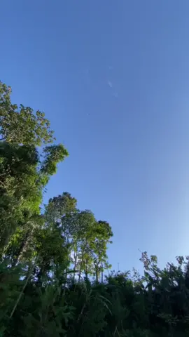 Another place in paradise 1650m2 NomiLand by Nomilife best location, best view, riverside, mountain and clouds - For more info : WhatsApp 0813-2020-6060 make it deal 👍 - #nomilife #nomiland #riverside #campinglife #campingtent #campingtiktok #cabinlife #tinyhouselife #naturetiktoks #gunungindonesia #cabinlifestyle #tanah #jualtanah #propertyinfluencers #propertyinvestment 