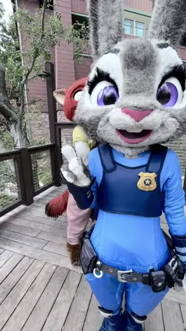 It’s always good seeing Nick Wilde & Judy Hopps🥹🫶 #disneyland#zootopia#nickwilde#judyhopps#foryou#fyp 