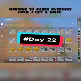 What other case should i open..? #opening #csgo #lucky #case #fyp 