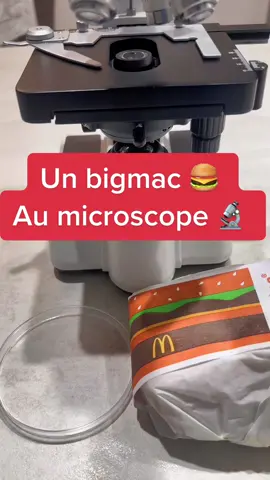 😱😱😱😱 regardons un big mac de @McDonald’s France au #microscope #bigmac #mcdonalds 