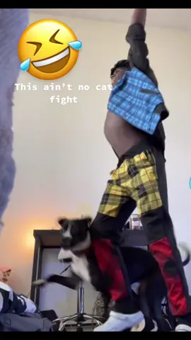 This is so funny🤣🤣. #funnyvideos #comedyvideo #mananddogalike #funnydogs #hilarious #laughitsfree 