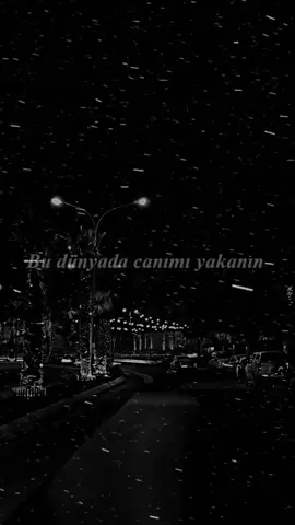 #kesfeteduşartikkkk #__PAYİZZ4🌼🌹 