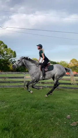 Racehorse mode: activated  #equestrian #horsegirl #horse #horses #horseriding #dressage #farmgirl #horserider #fashion #model #fyp #cutegirl #fashionmodel #vs #vsfs 