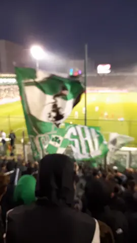 Μα πιο πολύ θα τρελαθώ ☘️☘️... #fy #foryou #foryoupage #gate13 #trifillara #panathinaikos #pao #gate13hooligans 