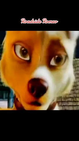 #roadsideromeo #heyshawtyheydarling #inshotediting #fyp #morecontentsoon #turnedoutokay #slowedtiktok 